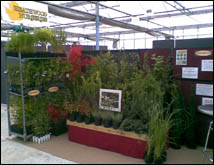 Heathwood Nurseries at Four Oaks Horticultural Show 2010