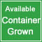 Container Grown Plants